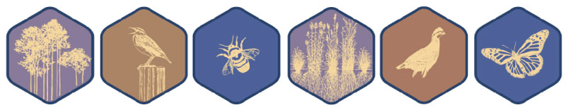 hex-icons.jpg Hex icons with animals and landscapes